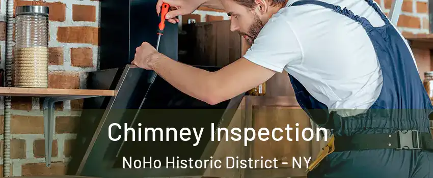 Chimney Inspection NoHo Historic District - NY