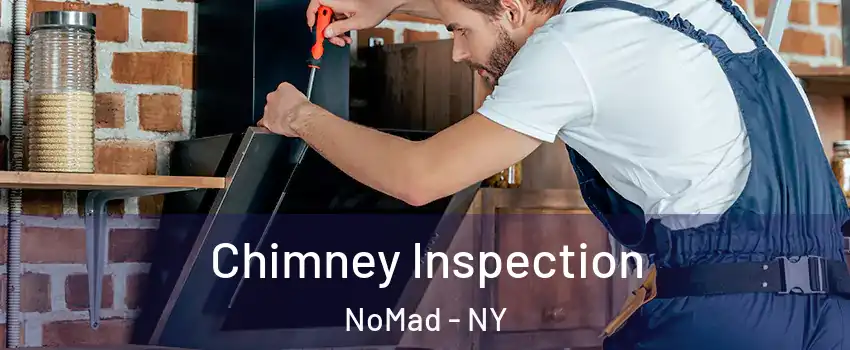 Chimney Inspection NoMad - NY