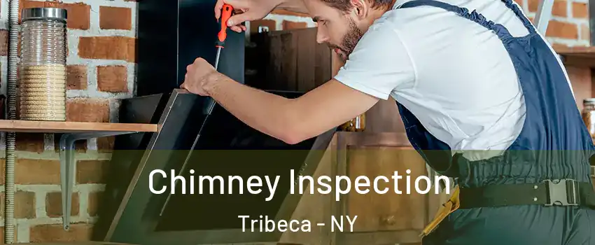 Chimney Inspection Tribeca - NY