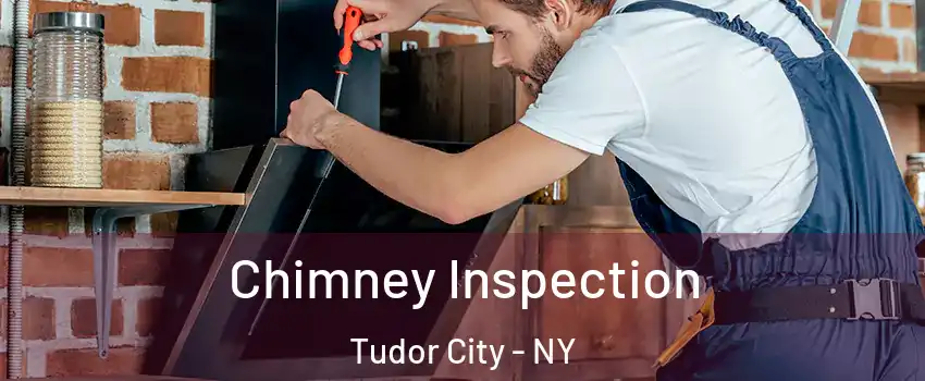 Chimney Inspection Tudor City - NY