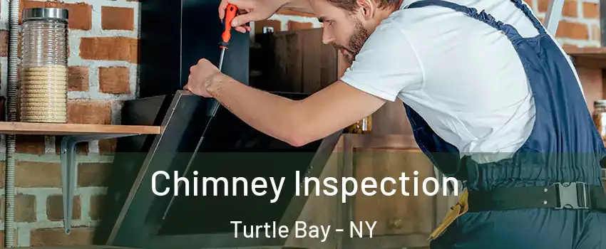 Chimney Inspection Turtle Bay - NY