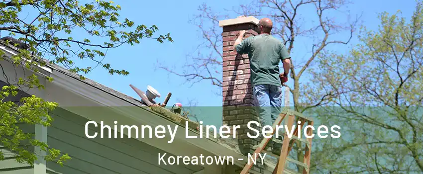 Chimney Liner Services Koreatown - NY