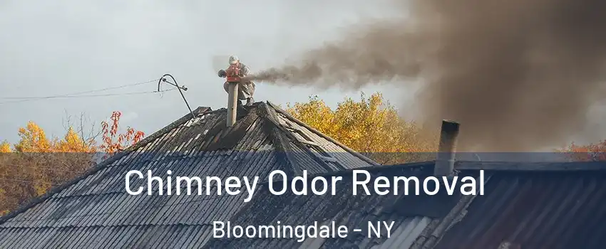 Chimney Odor Removal Bloomingdale - NY