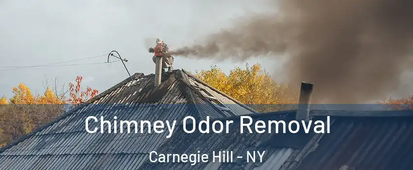 Chimney Odor Removal Carnegie Hill - NY