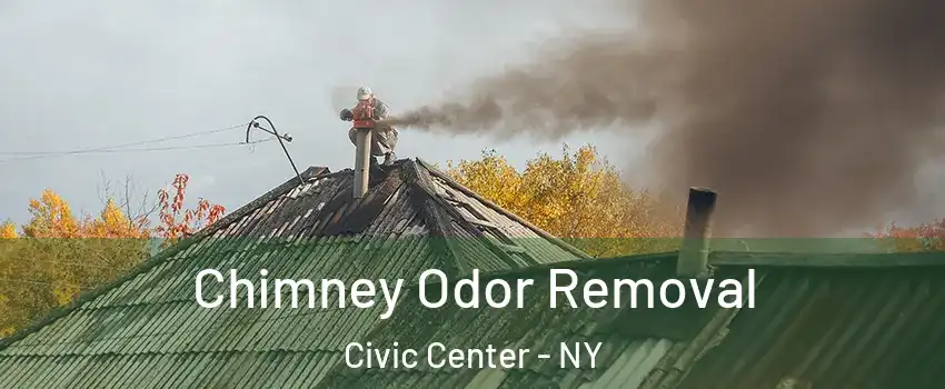 Chimney Odor Removal Civic Center - NY