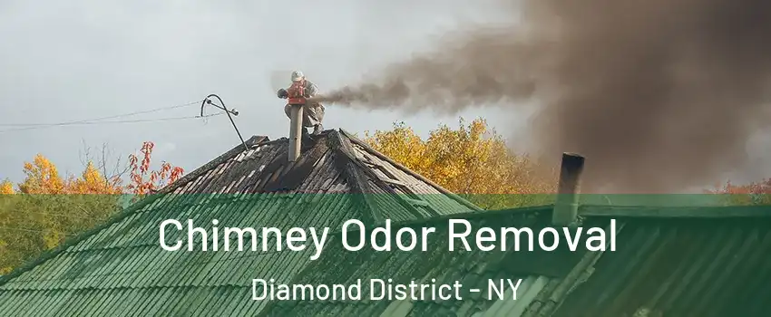 Chimney Odor Removal Diamond District - NY