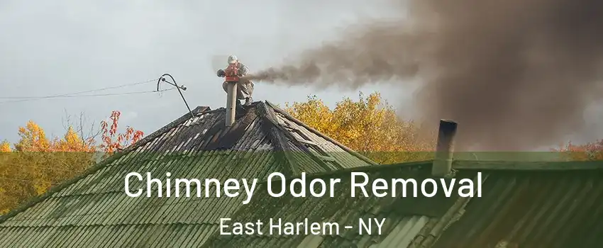 Chimney Odor Removal East Harlem - NY