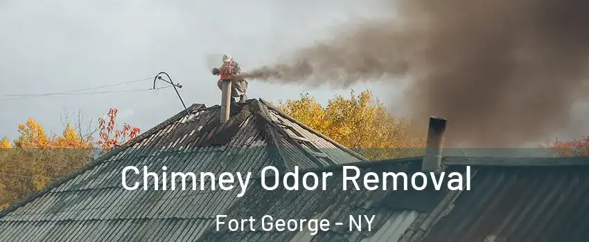 Chimney Odor Removal Fort George - NY