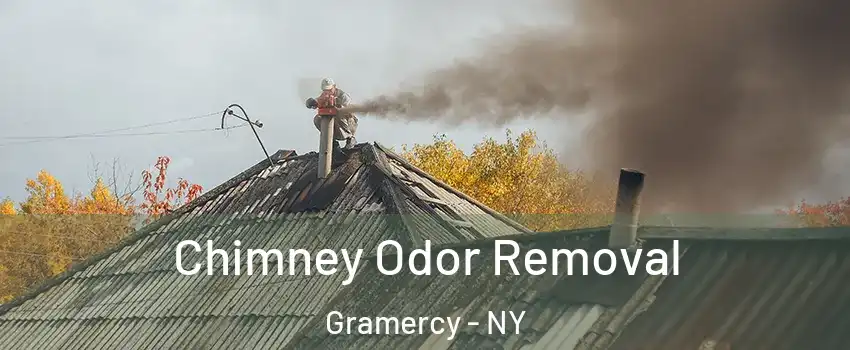 Chimney Odor Removal Gramercy - NY