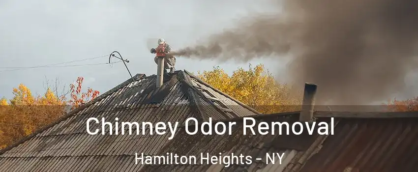 Chimney Odor Removal Hamilton Heights - NY