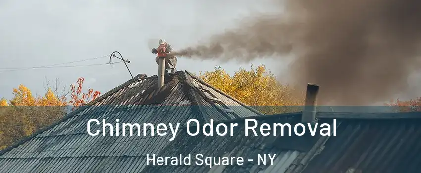 Chimney Odor Removal Herald Square - NY