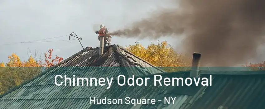 Chimney Odor Removal Hudson Square - NY