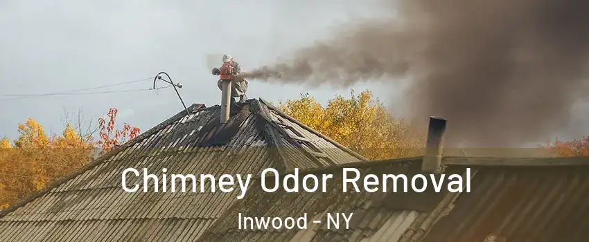 Chimney Odor Removal Inwood - NY