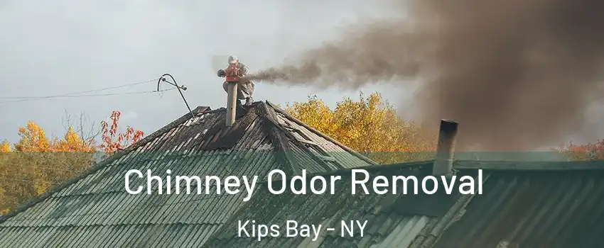 Chimney Odor Removal Kips Bay - NY