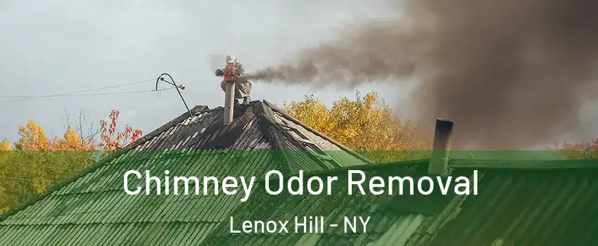 Chimney Odor Removal Lenox Hill - NY