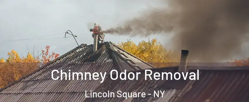 Chimney Odor Removal Lincoln Square - NY