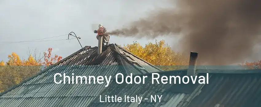 Chimney Odor Removal Little Italy - NY