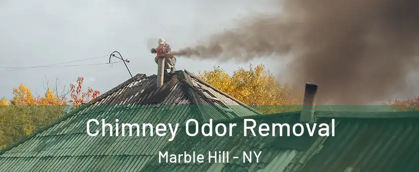 Chimney Odor Removal Marble Hill - NY