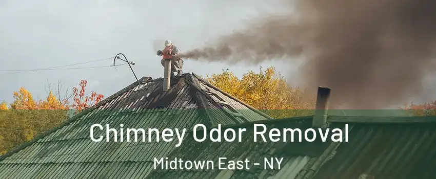 Chimney Odor Removal Midtown East - NY