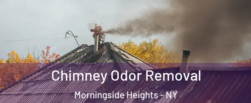 Chimney Odor Removal Morningside Heights - NY