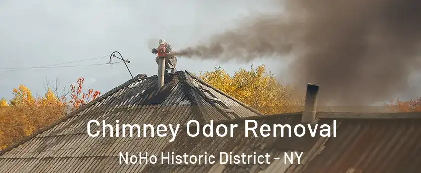 Chimney Odor Removal NoHo Historic District - NY