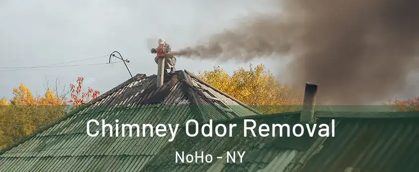 Chimney Odor Removal NoHo - NY