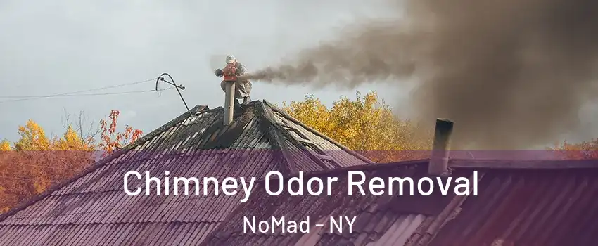 Chimney Odor Removal NoMad - NY