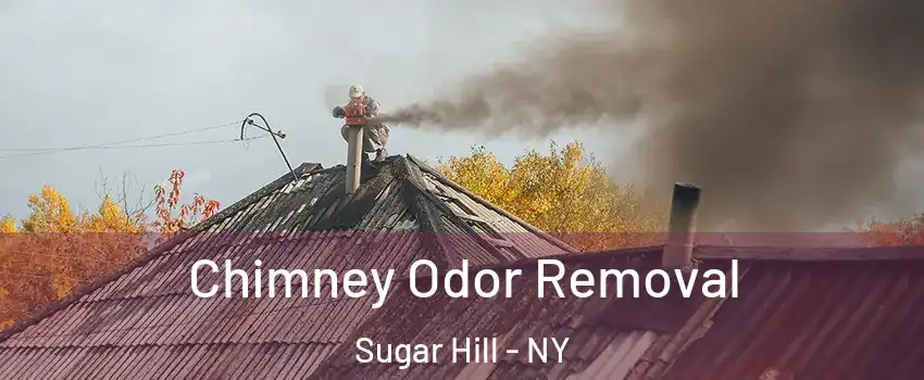 Chimney Odor Removal Sugar Hill - NY