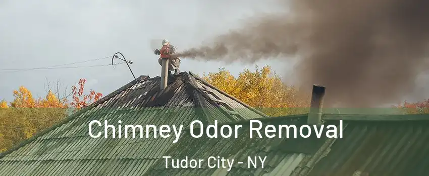 Chimney Odor Removal Tudor City - NY