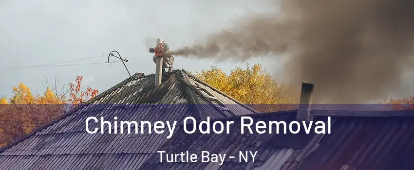 Chimney Odor Removal Turtle Bay - NY