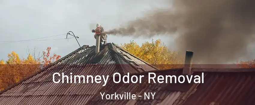 Chimney Odor Removal Yorkville - NY