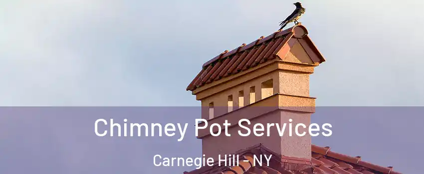 Chimney Pot Services Carnegie Hill - NY
