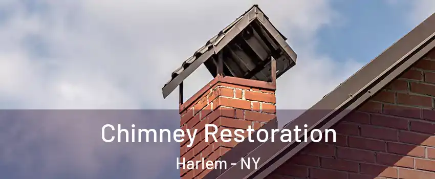 Chimney Restoration Harlem - NY