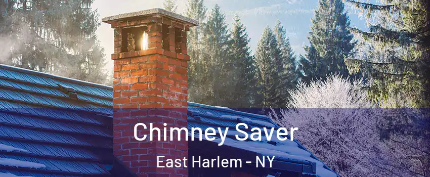 Chimney Saver East Harlem - NY