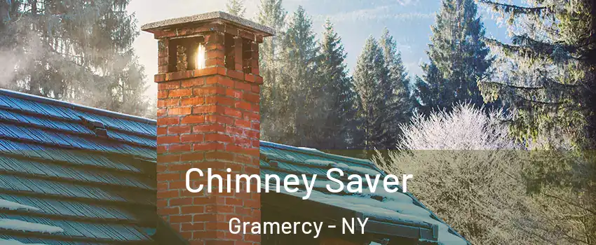 Chimney Saver Gramercy - NY