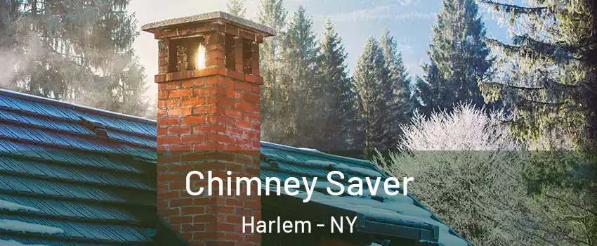 Chimney Saver Harlem - NY