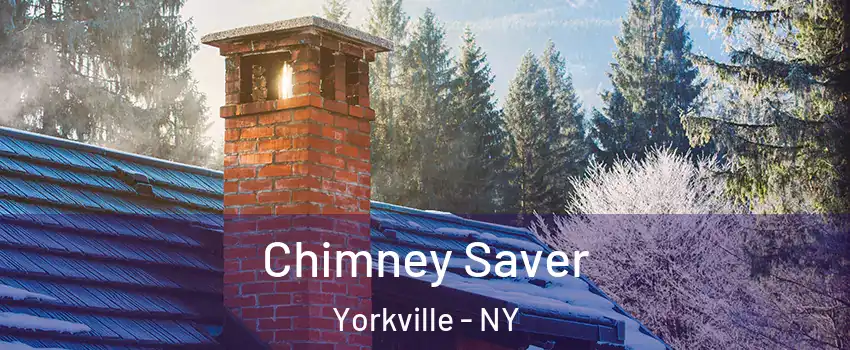 Chimney Saver Yorkville - NY