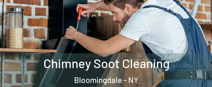 Chimney Soot Cleaning Bloomingdale - NY