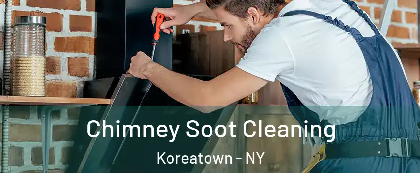 Chimney Soot Cleaning Koreatown - NY
