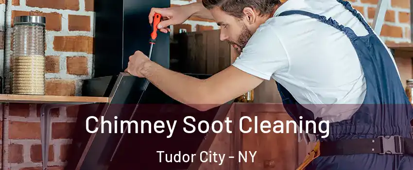 Chimney Soot Cleaning Tudor City - NY