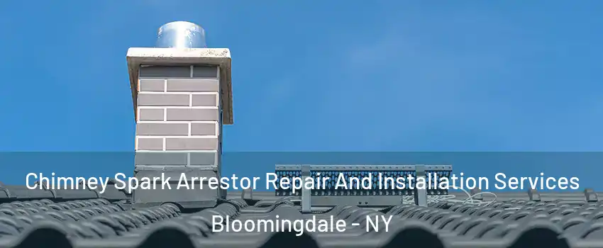 Chimney Spark Arrestor Repair And Installation Services Bloomingdale - NY