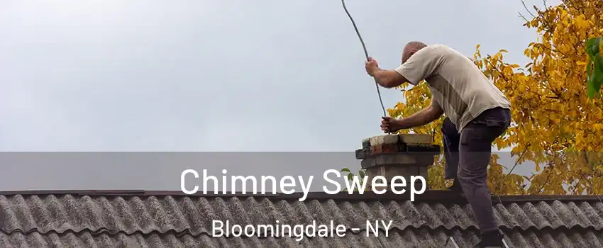 Chimney Sweep Bloomingdale - NY