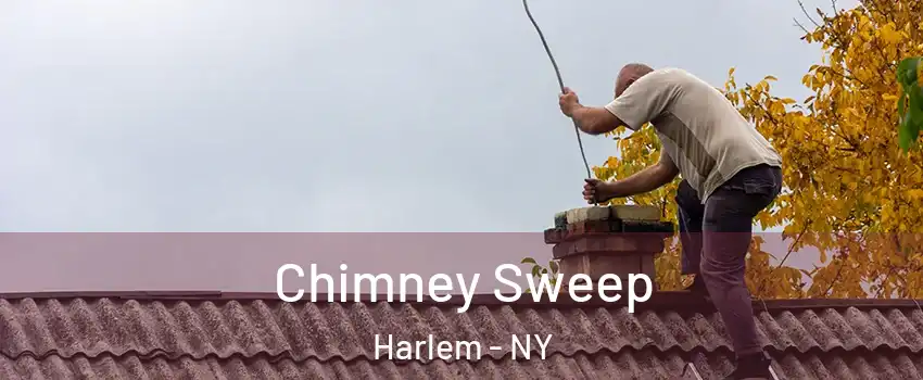 Chimney Sweep Harlem - NY