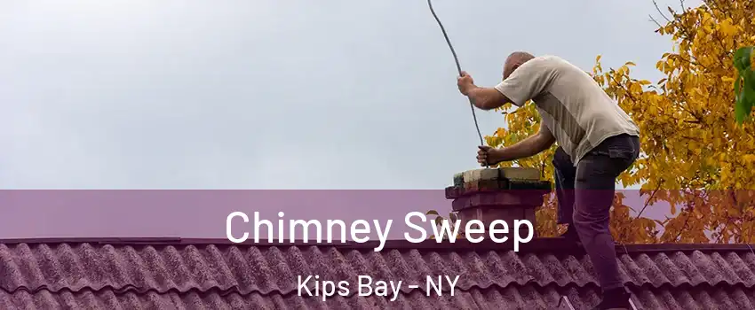 Chimney Sweep Kips Bay - NY