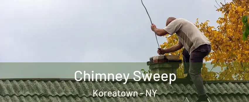 Chimney Sweep Koreatown - NY