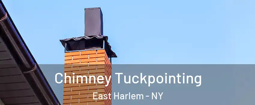 Chimney Tuckpointing East Harlem - NY