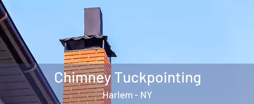 Chimney Tuckpointing Harlem - NY