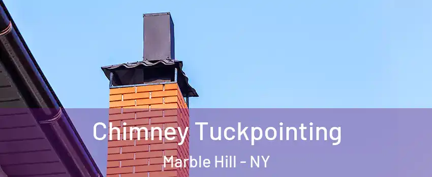 Chimney Tuckpointing Marble Hill - NY