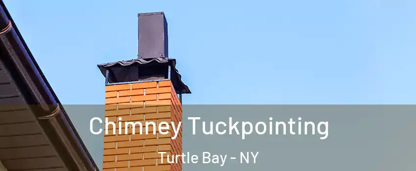 Chimney Tuckpointing Turtle Bay - NY