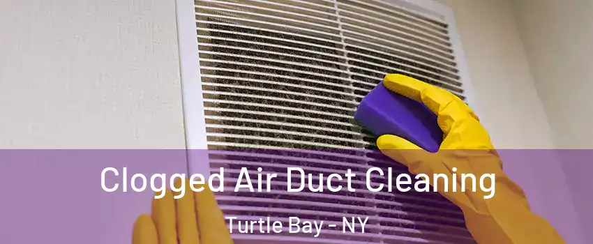 Clogged Air Duct Cleaning Turtle Bay - NY